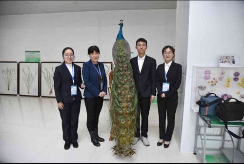 我校师生在2017年辽宁省普通高等学校本科大学生动植物标本制作大赛中获得佳绩