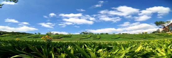 我校本科招生录取传捷报 | 普通文史类最低分比去年提高30分，理科类最低分比去年提高66分，文理分数排位均大幅提高